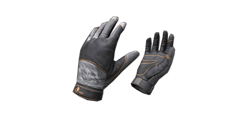 Gloves | Phoenix Risen