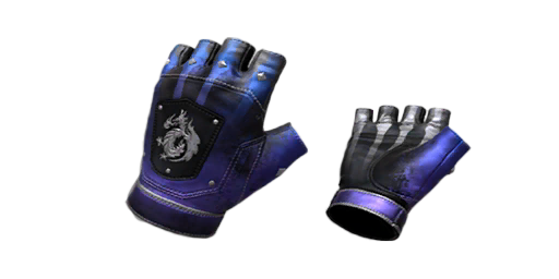 Gloves | X-Ray