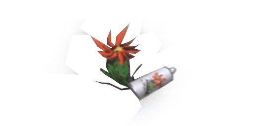 Graffiti | Cactus Packed