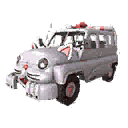Cars | Cute Kitten