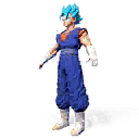 Clothes | Super Saiyan Blue Vegito Character