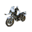 Motocycle | Gold Porcelain2-Seat
